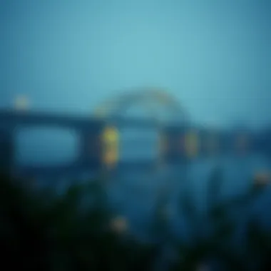 Magnificent 비트코인 지갑 추적 사이트: 기능과 활용