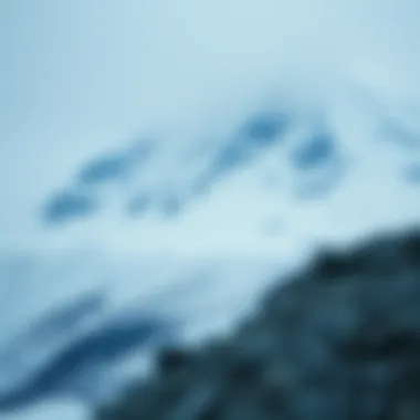 Future potential of Avalanche ecosystem