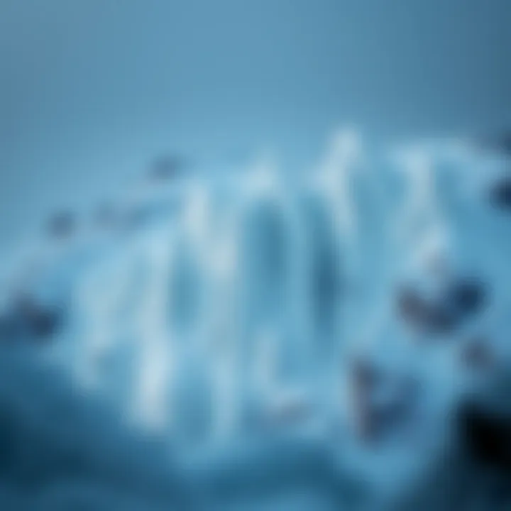 Market positioning and trends of Avalanche