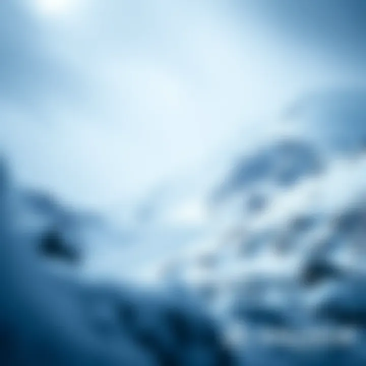 Overview of Avalanche blockchain technology