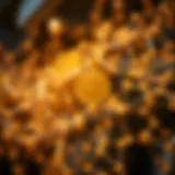 Visual representation of a blockchain network highlighting the role of a sequencer