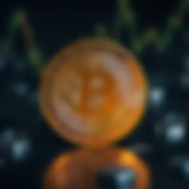 Impact of political factors on cryptocurrency