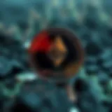 Historical price fluctuations of Ethereum