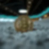 로커스체인 상장 가격에 대한 심층 분석 Introduction