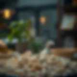 시바 이누에서 PHP로의 진화 Introduction