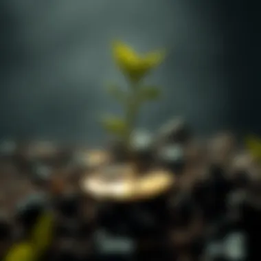 Taproot's Impact on Bitcoin Transactions Impact of Taproot on Bitcoin transactions